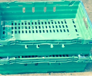 Maxinest bale arm crate green 600x400x106